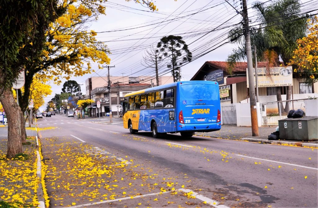 Triar Linhas do TRIAR terão alteração de itinerário na região do Jardim ...