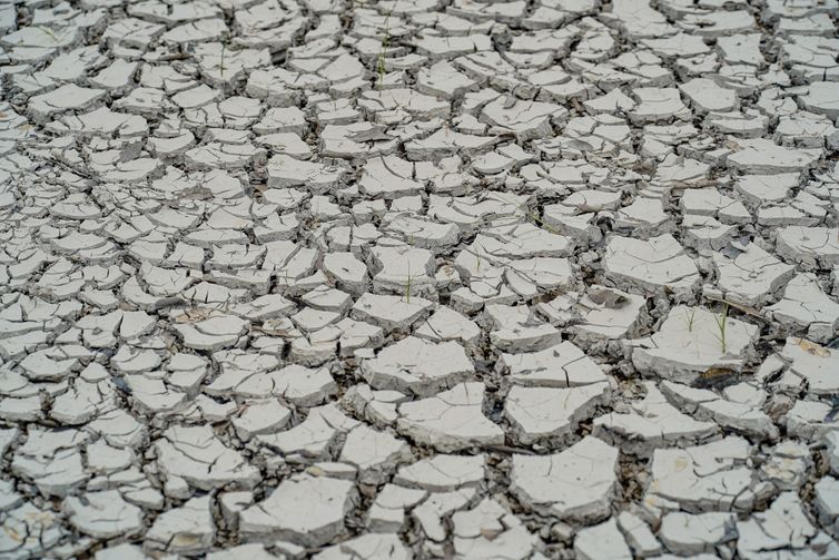 Solo afetado por níveis baixos de água na região de Manaus durante período de seca severa.