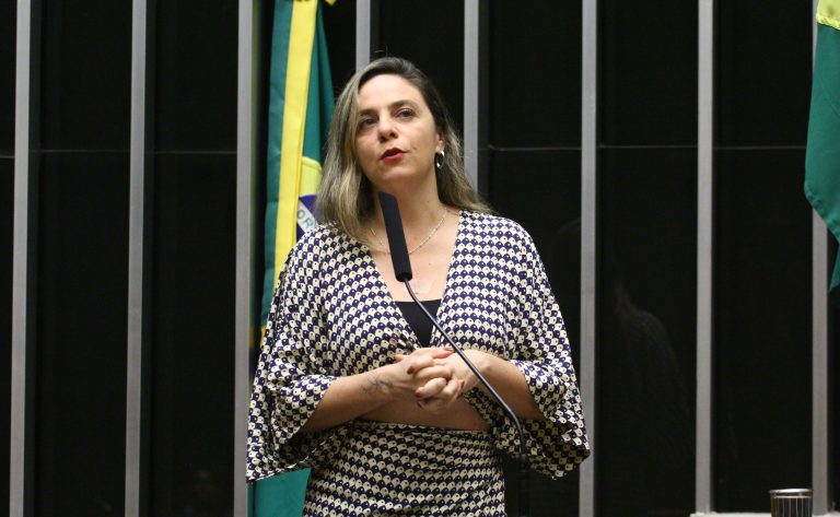 Discussão e votação de propostas legislativas. Dep. Fernanda Melchionna (PSOL - RS)