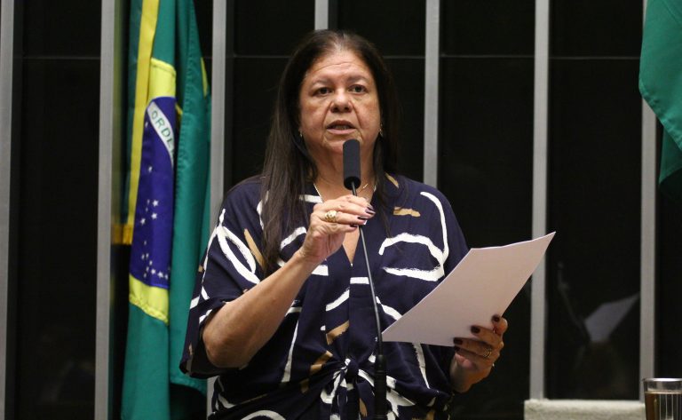 Discussão e votação de propostas legislativa. Dep. Laura Carneiro (PSD - RJ)